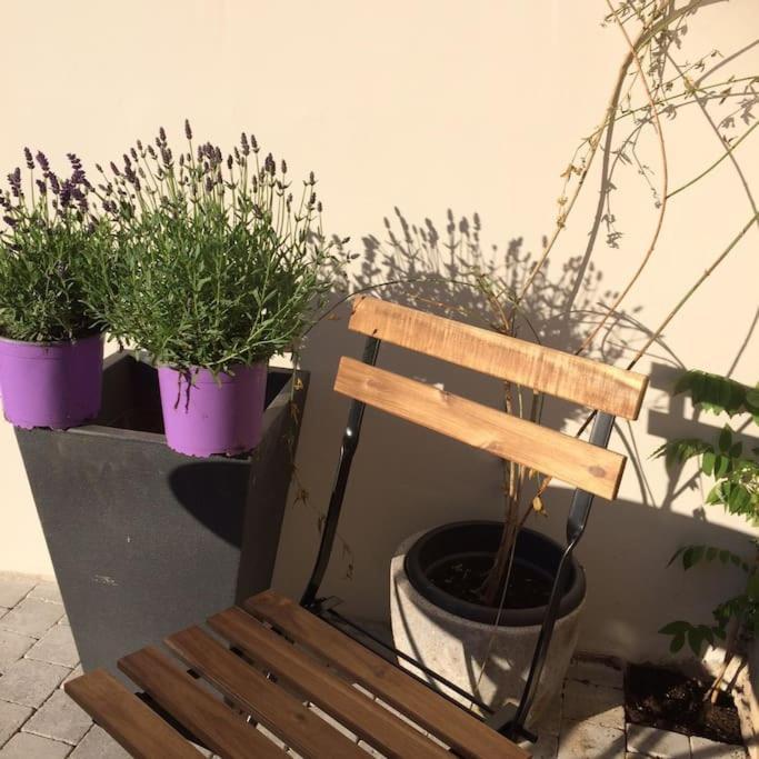 Le Clos De Beauchamp Appartement Le Bord De Mer 2 Velos Sont Disponibles Gratuitement Saint-Valéry-sur-Somme Exterior foto